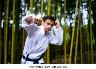 People High Kicks During Training Of Taekwondo Outdoors Bamboo Background