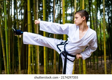 People High Kicks During Training Of Taekwondo Outdoors Bamboo Background