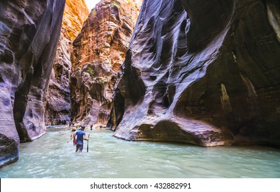 People Hiking In Zion Narrow  With  Virgin River In Summer Season,Zion National Park,Utah,usa.