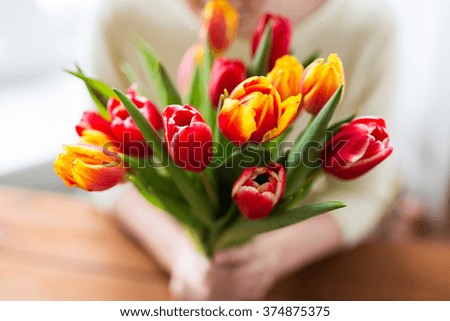 Similar – Image, Stock Photo Red Tulip Nature Plant