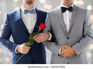 people, homosexuality, same-sex marriage and love concept - close up of happy male gay couple with red rose flower holding hands on wedding  over holidays lights background