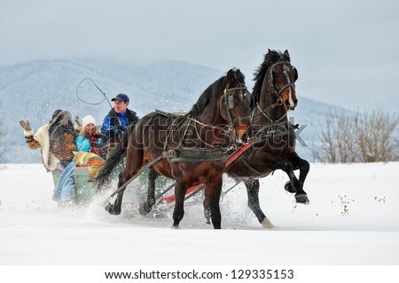 people with horse sledge outdoor