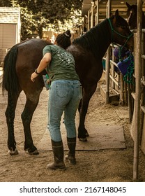 People Horseback Riding In California