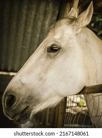 People Horseback Riding In California