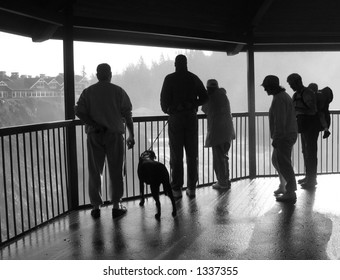 People Looking from an Observation Deck