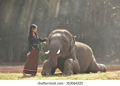 People Love Elephants Stock Photo 353064320 | Shutterstock