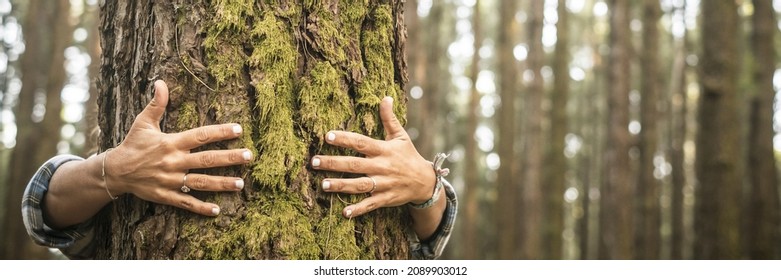 People Love Nature Concept Lifestyle With Adult Hands Hugging A Green Pine Trunk Inthe Forest. Concept Of Environment And No Climate Change For Planet Future