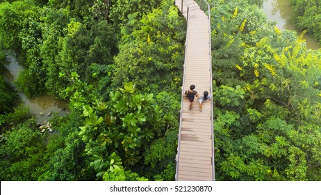 people of man and girl in top view walk at wooden sky walkway in forest with trees and river.(aerial forrest view) - Powered by Shutterstock