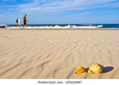 People Nordic Walking On Beach With Shells