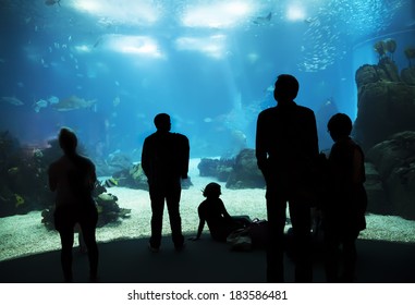 People In Oceanarium  