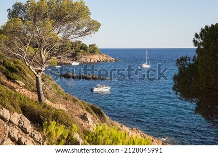 People on boats enjoying the beautiful crystalline blue mediterranean in a bay under pines -at the rocky hiking trail Sentier du Littoral in the beautiful nature reserve at the peninsula Saint Tropez