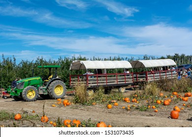 People On A Hay Ride Next To The Pumpkin Patch At Fishkill Farms At 9 Fishkill Farm Rd, Hopewell Junction, NY, USA On Columbus Day Weekend, October 13, 2019