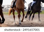 People on horses, legs and race on track for sport, equestrian training and competition in countryside. Thoroughbred animals, jockeys and running for win in tournament, polo and games on ranch