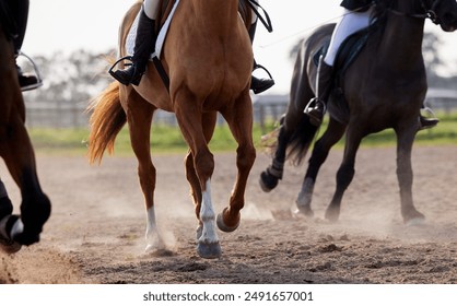 People on horses, legs and race on track for sport, equestrian training and competition in countryside. Thoroughbred animals, jockeys and running for win in tournament, polo and games on ranch