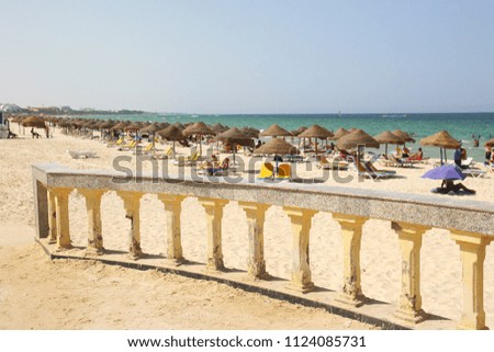 Similar – Image, Stock Photo Parasol, under palm trees