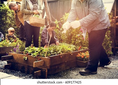People Planting Harvest Garden Green