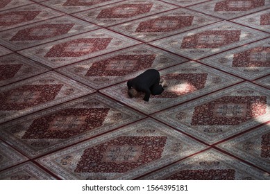 People Pray In The Shrine Of Imam Hussein In Karbala Iraq