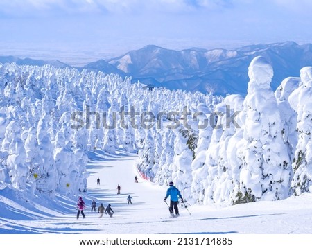 People racing down in a slope through the snow monsters (soft rime). (Zao, Yamagata, Japan)