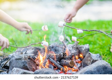 People Roasting Marshmallows Around Camping Bonfire