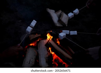 People Roasting Marshmallows On Bonfire Outdoors At Night, Above View