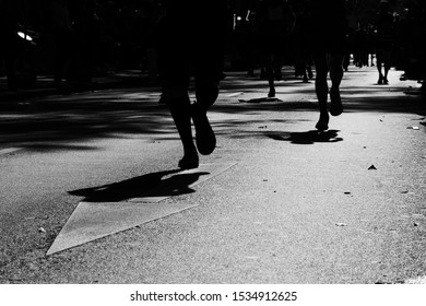 People Running Marathon In Cologne