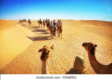 People In The Sahara Desert