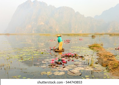 People with small boat on Van Long pond, Ninh Binh province, Vietnam. Vietnam landscapes Stock Photo