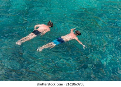 People Snorkeling In The Sea, Watching Marine Life On The Shores Of The Galapagos Islands