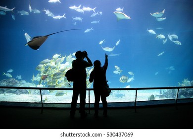 444 Woman Shooting Fish Images, Stock Photos & Vectors | Shutterstock