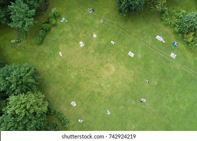 People Sunbathe On A Green Lawn In The Park, Top View