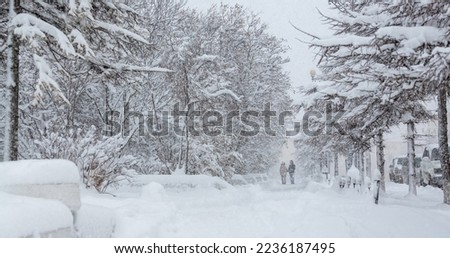 People walk along the alley during a heavy snowfall. Lots of snow on the sidewalk and tree branches. Snow drifts on the ground. Low visibility during a snowstorm in the city. Cold snowy winter weather
