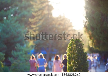People walk down the street on a sunny summer day. Blurry out of focus view. A crowd of people are walking in the park. Copy space.