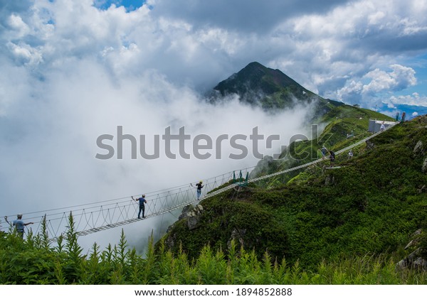 the people walk\
on a hanging ladder in the mountains in summer against a background\
of green grass and foliage