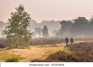 People walking along path through heathland on a morning in october under autumn light. Otterlo, Hoge Veluwe, the Netherlands - Powered by Shutterstock