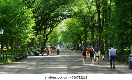 People Walking In Central Park