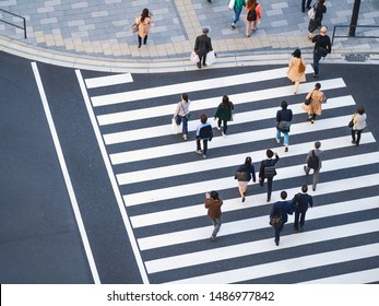 People walking Crossing street Sign Top view Crosswalk in city Business area - Powered by Shutterstock