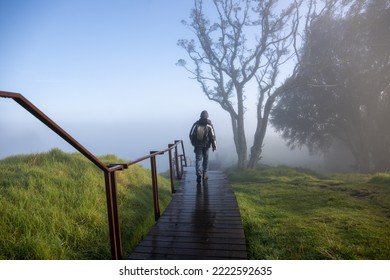 People Walking In The Fog, Mt Eden Summit, Auckland.