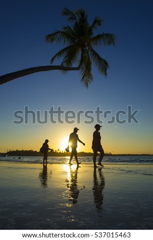 People walking in front of a sunset silhouette with a palm tree hanging overhead