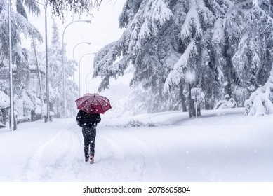 People walking on a city street during heavy snow storm. Climate change, extreme weather. Storm Filomena in Madrid. Arturo Soria area - Shutterstock ID 2078605804