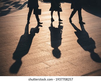 People Walking On Pathway Silhouette Shadow Sunlight Shade Conceptual Background