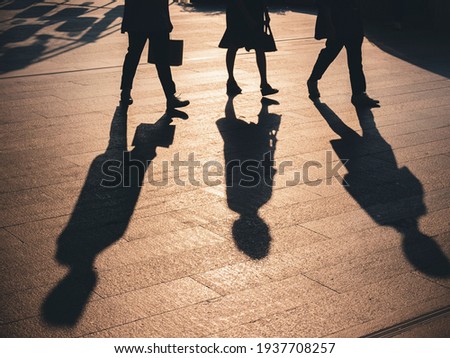 People walking on Pathway Silhouette Shadow sunlight shade Conceptual background