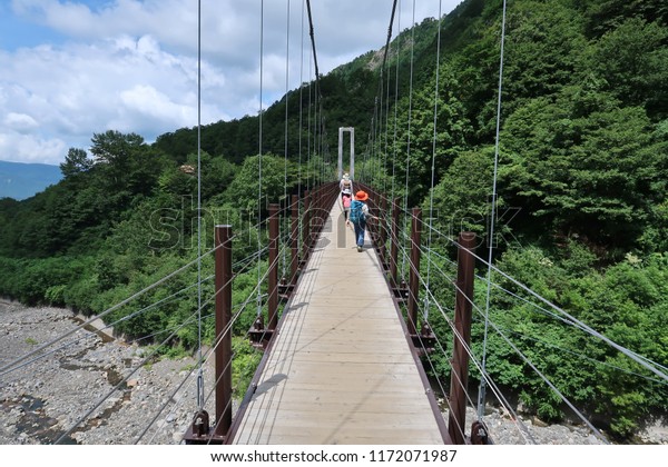 People walking on suspended\
bridges