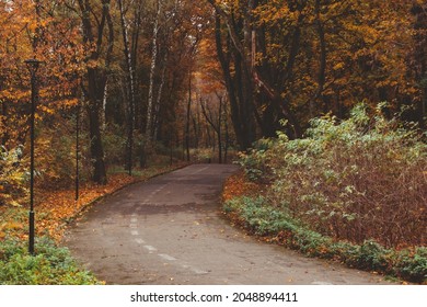 People Walking Outdoors By Autumn City Park Fall Season Copy Space