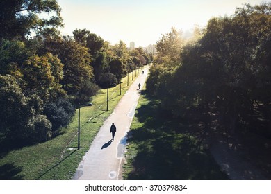 People Walking In The Park 