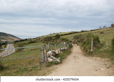 People walking the path