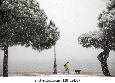 People Walking In The Snow In The Center Of The City On A Winter Day