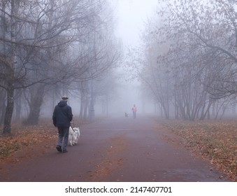 People walking with their dogs in autumnal city park. Misty park in the early morning. Smog in the city. Fall season. On a walk in autumn park. - Powered by Shutterstock