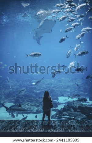 people watching beautiful fishes in aquarium image.

