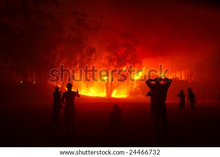 People watching forest fire in night. Shot in Stellenbosch, Western Cape, South Africa.