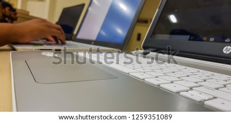 people working on laptops